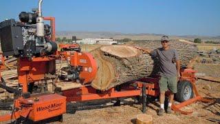 operating extra large saws wood cutting sawn machine | sawmill