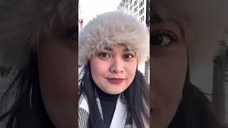 Mini Vlog 2 #downtownchicago #travel #travelvlog