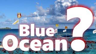 Blue Ocean – Erzähl die Geschichte deines besonderen Honig