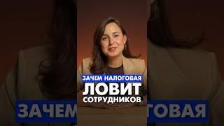 Как налоговая ловит сотрудников #налоговая #адвокат #налоговаяпроверка