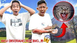 GAWAT! SAPUTRA DIGIGIT KUCING GAN4S?? | Mikael Family