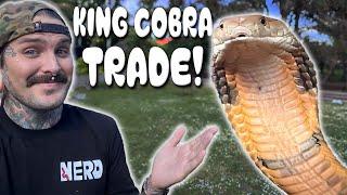 TRADING my KING COBRA for a NEW ?????