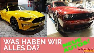 Autopartner American Cars - WAS HABEN WIR ALLES DA? - ENDLICH NEUE AUTOS