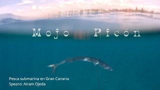 Mojo Picón Gran Canaria  Pesca submarina 