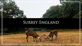 The Prettiest Villages of Surrey | Beautiful Surrey Hills, England (4K)