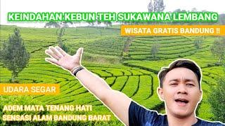 Explore Kebun Teh Sukawana Parongpong Lembang Bandung | ADEM MATA TENANG HATI 