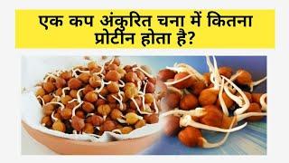 Ek cup ankurit chana me kitna protein hota hai | एक कप अंकुरित चना में कितना प्रोटीन होता है