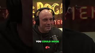 Joe Rogan on the 'Celebrity Circle" ⭕️