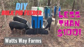 DIY Bulk Pig Feeder | Less than $100! | Detailed Build