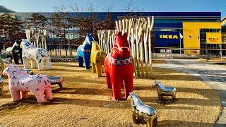  Store Walk: First IKEA Branch that Opened in Korea in Seoul (IKEA Gwangmyeong)