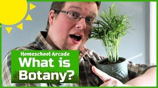 What is Botany? Botany Jobs, Classifications & Famous Botanists