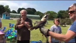 Mark's Ark at Monkey Tree Holiday Park