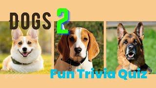 【Fun Trivia Quiz】Dog Trivia Quiz 2