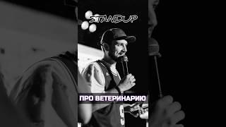про ветеринарию @standup_kirov , кем работаешь? #comedy #standup #комедия #смешно #стендап