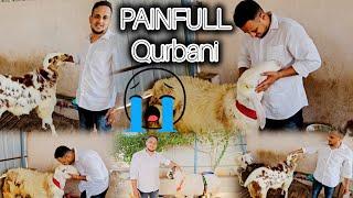 Painfull qurbani I have ever seen #bakrid #sheepfarming #nellore #sheep #biggest #animals #pets pets
