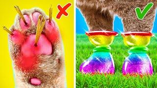 Easy DIYs & Cute Ideas For Pet Gadgets  Make Your Furry Friends Happy