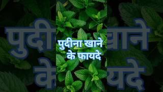 पुदीना खाने के फायदे /pudina khane ke fayde #shorts #healthtips