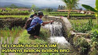 Mancing di Selokan Rasa Kolam Ikannya Besar besar #LM06