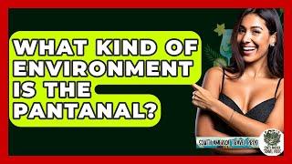What Kind Of Environment Is The Pantanal? - South America Travel Pros