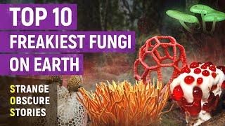 Top 10 FREAKIEST Fungi on Earth | 4K (SOS)