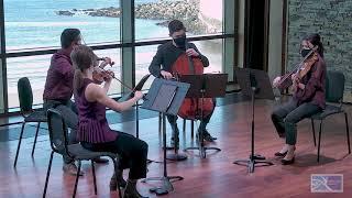 Rockport Music presents Rasa String Quartet