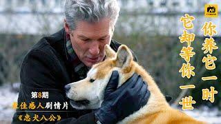 人生必看电影系列之《忠犬八公》，主人意外去世狗狗在原地等待10年，这是一部真实故事改编的电影；水来我在水中等你，火来我在灰烬中等你。