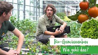 Bio-Gemüseanbau - Wie geht das? | Reportage Bioland Gärtnerei Kalkriese