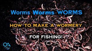 Making a wormery and keeping worms for fishing - Perch, Chub, Barbel, Carp fishing