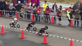 Wild Runner Cup 6th , 4 years old , Final race , Strider racing in Japan