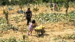 Natur pur, Wildwasserbaden im Taurusgebirge von Alanya mit Hassan ,Medine Supermarkt