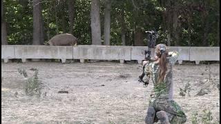 Shooting Hogs In a Cow Feeder! 4 Hogs Down! Bowhunting For Hogs in Tennessee