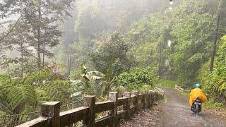 Walking under the pouring rain in the countryside||cool and refreshing atmosphere