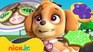 PAW Patrol Loves Yummy COOKIES!  10 Minutes | Nick Jr.