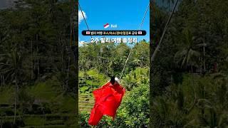 2주 발리 여행 코스 총정리 자세한 내용은 설명 더보기‼️ #발리 #발리여행 #발리브이로그 #bali