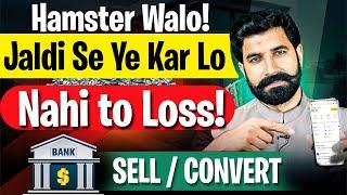 Hamster Walo Jaldi Se Ye Kam Kar Lo Nahi To Loss Ho Jaye Ga| How to Sale or Convert HMSTR| Albarizon