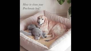 Easy to wash PoochMate Beds