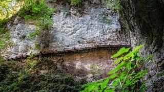 Pokljuka Gorge - The Largest Fossil Gorge in Slovenia