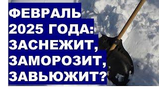 ФЕВРАЛЬ 2025? Начнется ли зима с вьюгой, снегом и морозами?