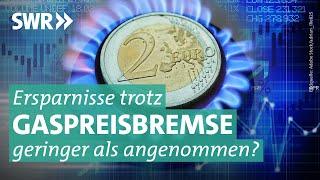 Gaspreisbremse - wenn der Verbrauch klein gerechnet wird | Marktcheck SWR