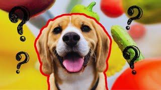 12 Safe and Healthy Vegetables for Dogs