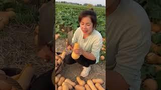 Beautiful Nature - Fresh Fruit Farm #shorts #shortvideo PS246