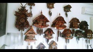 All the sounds my large collection mechanical cuckoo clocks black forest tutti i miei orologi cucù