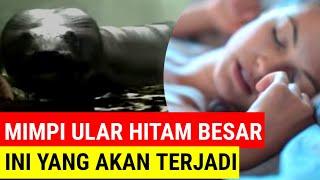 Arti mimpi melihat ULAR hitam besar masuk rumah, sebuah tanda malapetaka akan datang?