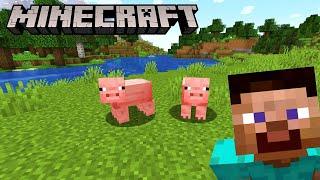 | | LET'S PLAY MINECRAFT | |