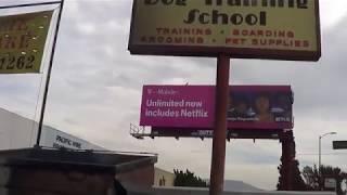 Joe Nania Hollywood Dog Training School sign 11 15 2017