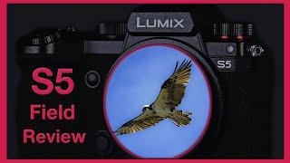 Best Hybrid Full Frame? Panasonic S5 Field Review