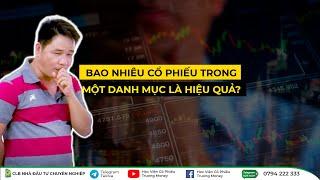 BAO NHIÊU CỔ PHIẾU TRONG MỘT DANH MỤC LÀ HIỆU QUẢ?