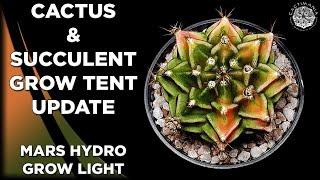 Cactus & Succulent Grow Tent Update | #Cactus & #Succulent Collection