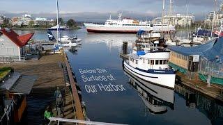 Beneath the Surface of Our Harbor: Victoria, Canada