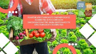 Запись семинара  от 24 июля 2024 года